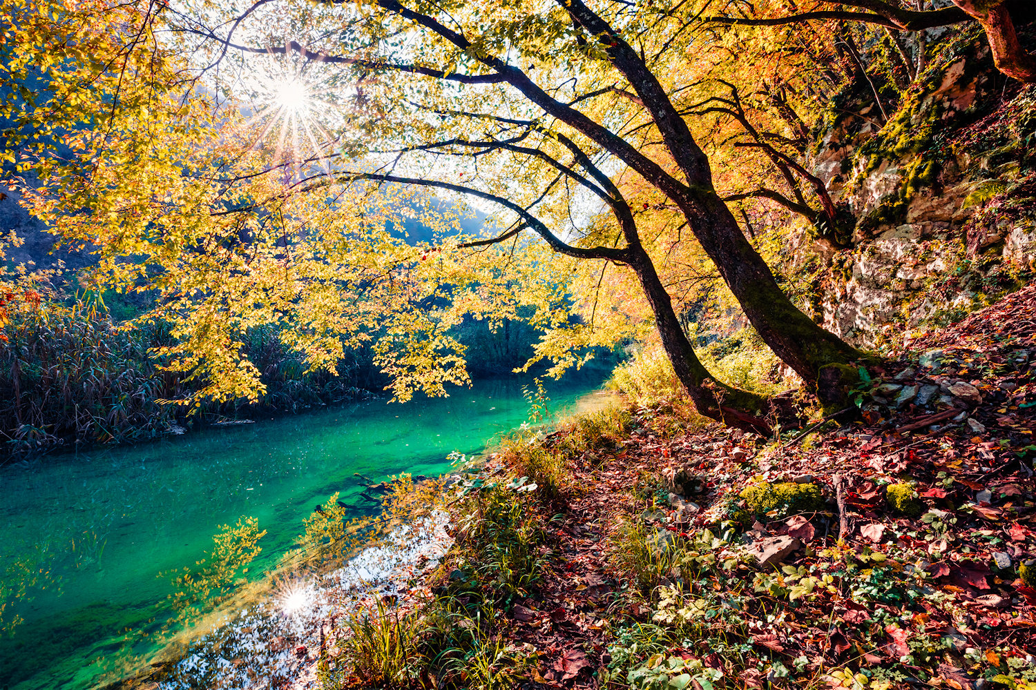 Herfstzon tussen goudkleurige bomen langs een heldere rivier
